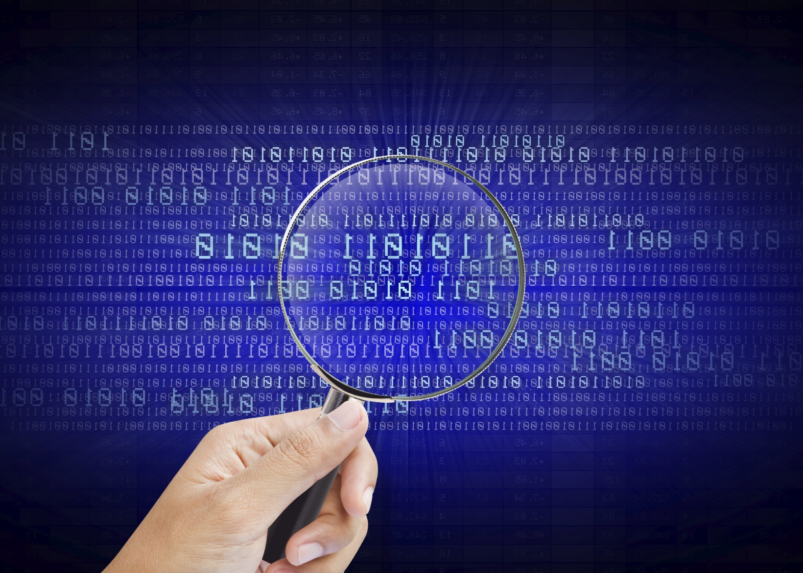 Secure Code Audit