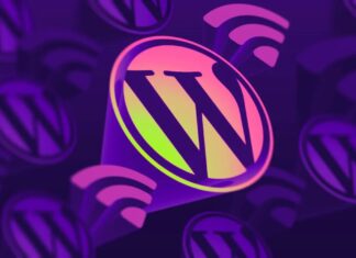 Elegir el tema de WordPress adecuado: una guía práctica