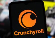 Витік даних Crunchyroll: під загрозою мільйони облікових записів користувачів