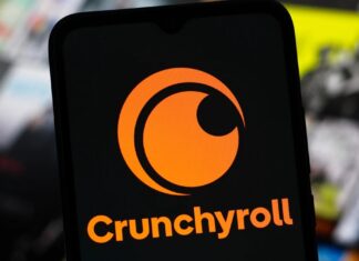 Витік даних Crunchyroll: під загрозою мільйони облікових записів користувачів