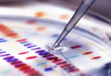 Los científicos luchan por conseguir chistes: lo confirma un nuevo estudio