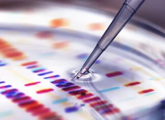 Les scientifiques ont du mal à faire des blagues : une nouvelle étude le confirme