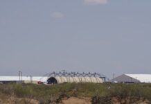 Рекордна Смертність у Центрах Затримання Імміграційної та Митної Служби США Викликає Побоювання