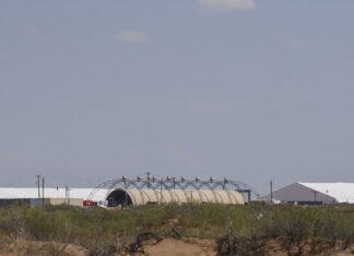 Rekordtodesfälle im ICE-Gewahrsam geben Anlass zur Sorge über die Haftbedingungen