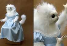 Реакції з ІІ: Створення Індивідуальних Мемів, Стікерів та GIF-ок