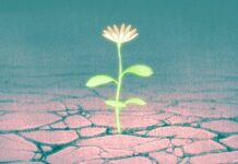 Více než optimismus: proč je naděje hnací silou změny