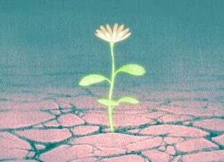 Oltre l’ottimismo: perché la speranza è il motore attivo del cambiamento