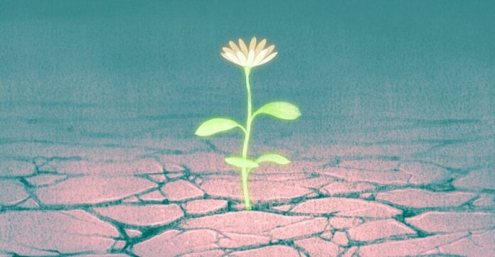 5286b194-72be-4a6b-9410-18e43585a67d