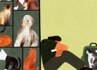 O trauma invisível dos abrigos de animais da América: o custo humano de uma crise de animais de estimação