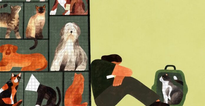 e863ca05-886b-48d9-9659-33a131d8c930