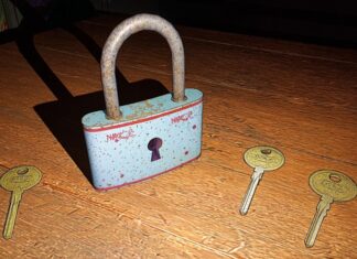 Открытая Схема Кибербезопасности (OCSF): Новый Стандарт для Данных Безопасности